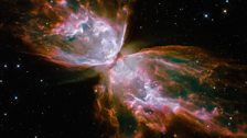 Butterfly Emerges from Stellar Demise in Planetary Nebula NGC 6302.