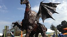 The RHS Cardiff Dragon