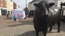 Hereford Market Stall