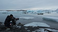 Filming seals