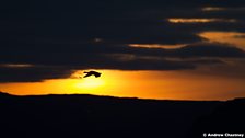 Sunset in Iceland