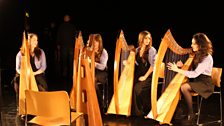 The Harbison Harp Ensemble