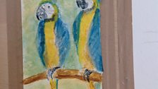 Doreen's Macaws