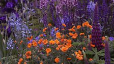 The Morgan Stanley Healthy Cities Garden