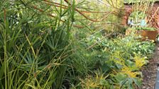 Dark Matter Garden for the National Schools’ Observatory