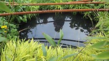 A dark pool within the garden