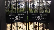 Poisonous Plants