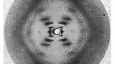 X-ray diffraction image of DNA taken by Raymond Gosling