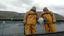 Glenarm Salmon