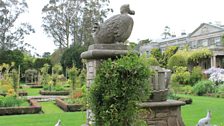 Climbing Plants at Mountstewart