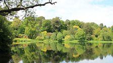 Climbing Plants at Mountstewart