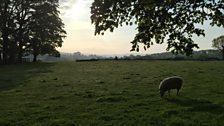 Sunrise at Hadrian's Wall