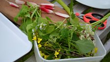 Foraged flowers and herbs