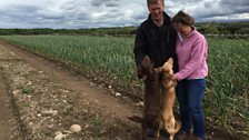 Garlic farmers Glen and Gilli Allingham