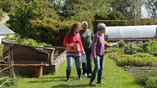 The kitchen garden at Poyntzfield Herb Nursery