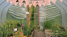 Polytunnel