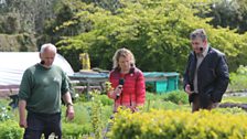 Pennie, Duncan and Richard look at the Medicinal herbs.