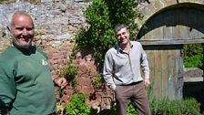 Duncan and Richard sampling the Sweet Cicely.