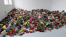 A bed of roses