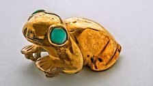 Golden frog with turquoise eyes