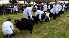 The Royal Highland Show