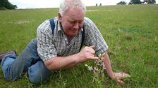 Chris is very proud of his bee orchid