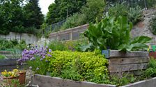 Raised beds