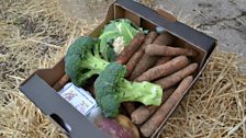 Grewar veg box