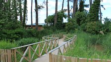 Sensory Garden At Castle Espie