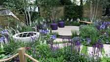 The Wellbeing of Women Garden. Designed by Claire Moreno, Amy Robertson & Wendy von Buren