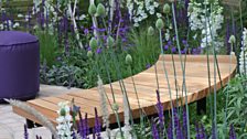 The Wellbeing of Women Garden. Designed by Claire Moreno, Amy Robertson & Wendy von Buren