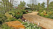 Encore - A Music Lover's Garden. Designed by Paul Martin