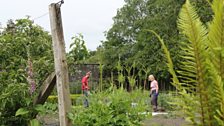 Head gardener Alasdair at work