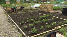 Am Fasgadh Allotments Kingussie