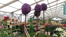 RHS Hampton Court 4/7