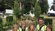 RHS Hampton Court 5/7