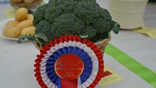 Prize winning broccoli