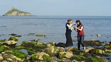 Hermione and Historian Kate Williams collect plankton, a Victorian obsession