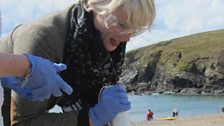 Tessa tries to recreate a material made from seaweed; strong enough to use in the construction of mosquito aircraft