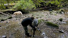 Filming a bear family