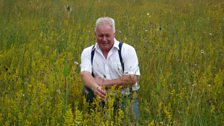 Chris in his field of lady's bedstraw