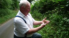 Chris with some of the wild strawberries from the farm