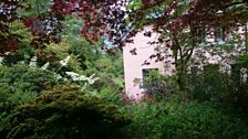 The luscious gardens at Ard Daraich