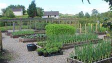 Raised beds