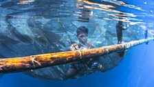 Bagan fishermen deploy nets at night and use lights to attract shoals of fish that swim in the bay’s deep water during the day