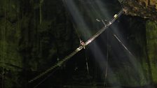 To reach valuable bird nests, collectors use a delicate web of ladders hanging in mid-air – often working higher than Big Ben