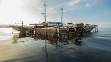 Fishermen live for months on floating platforms to exploit the rich fishing of this vast – and astonishingly deep – lagoon