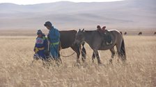 Children build a close relationship with horses on the steppe, and many train to race this small breed adapted to rough terrain