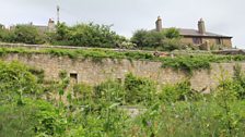 The garden wall