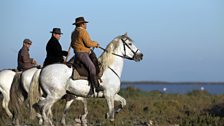 Camargue Cowboys ride an ancient breed of horse to round up the bulls they ranch for bloodless bullfighting in nearby arenas